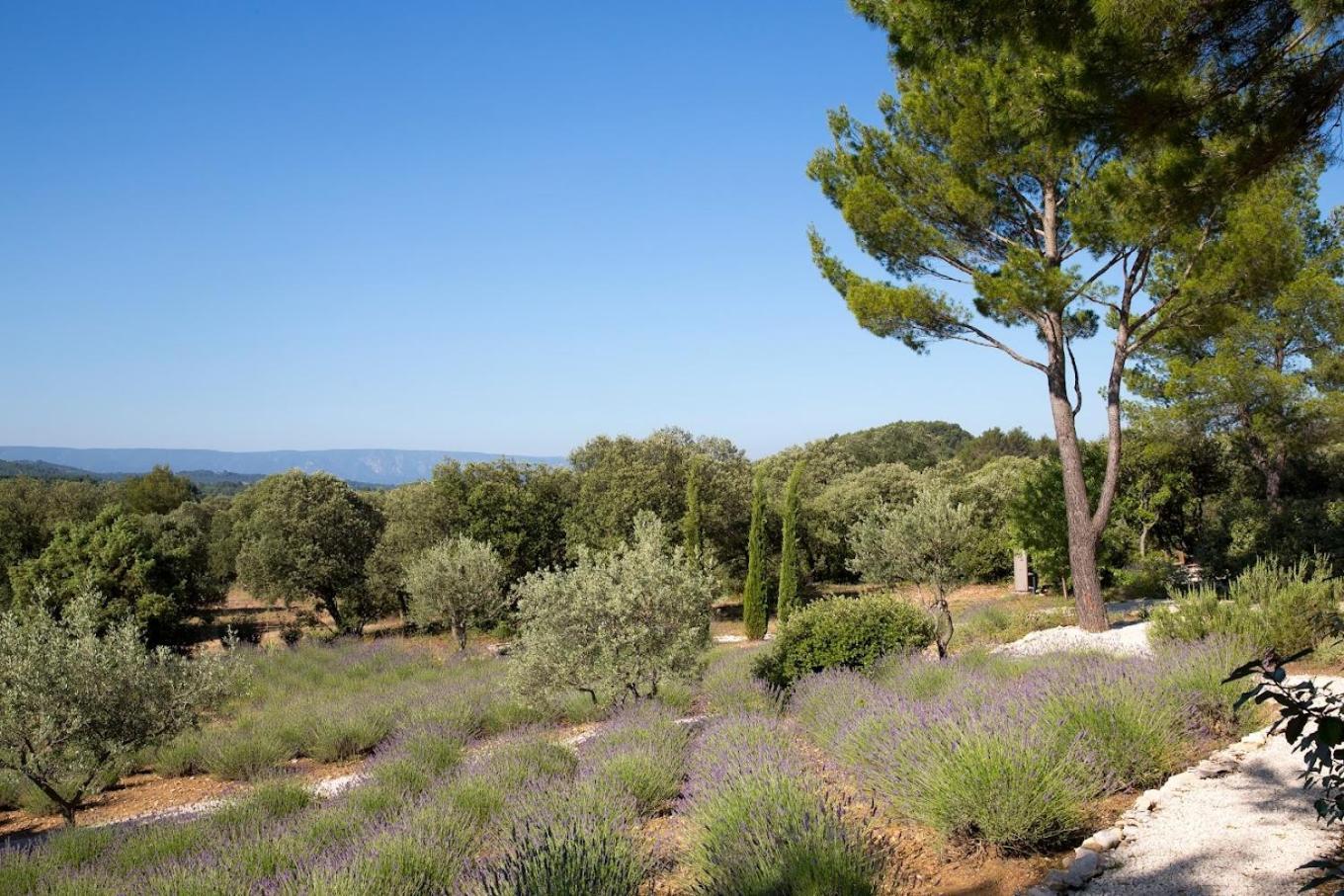 La Clé des Champs&Spa Roussillon en Isere Exterior foto